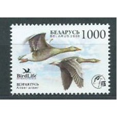 Bielorusia - Correo 2009 Yvert 670 ** Mnh Aves