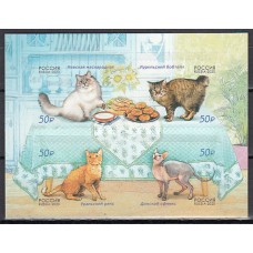 Rusia - Correo 2020 Yvert 8146/9 ** Mnh  Fauna gatos