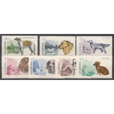 Albania Correo 1966 Yvert 932/38 ** Mnh Fauna - Perros