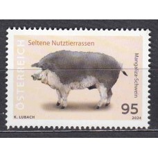 Austria Correo 2024 Yvert 3681 ** Mnh Cerdo Mangaliza - Fauna