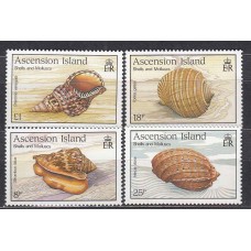 Ascension - Correo Yvert 492/95 ** Mnh Fauna Marina - Caracolas