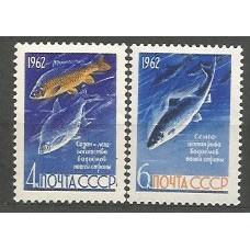 Rusia - Correo 1962 Yvert 2556/7 ** Mnh Peces